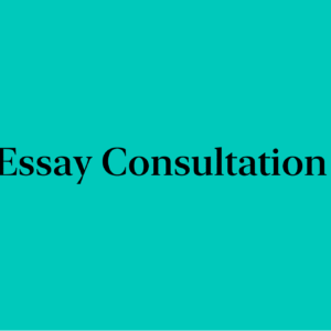 Essay Consultation - Initial Meeting